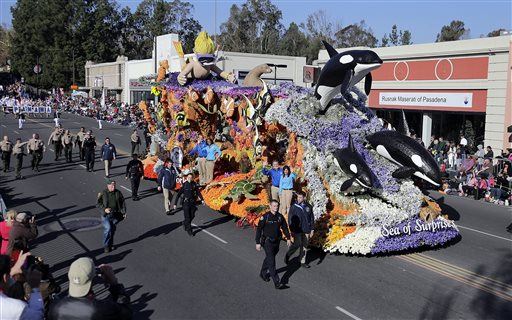 Naked 'Orcas' to Protest SeaWorld at Macy's Parade