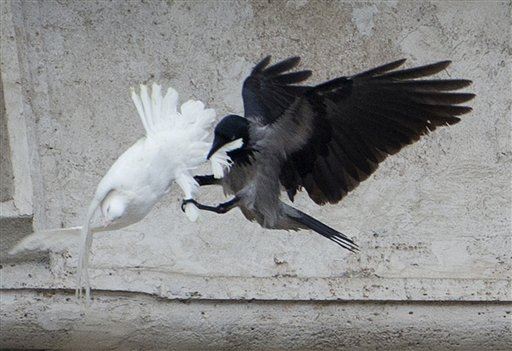 Vatican Gives Up on Doves, Turns to Balloons