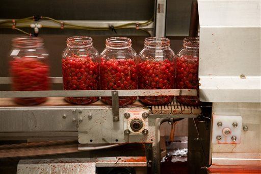 Cops: Cherry Factory Hid Biggest NYC Pot Farm