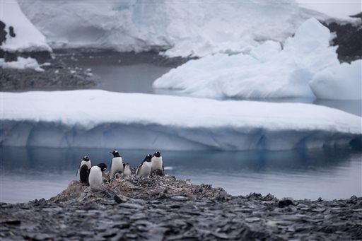 Antarctica May Have Hit Its Highest Temperature Ever