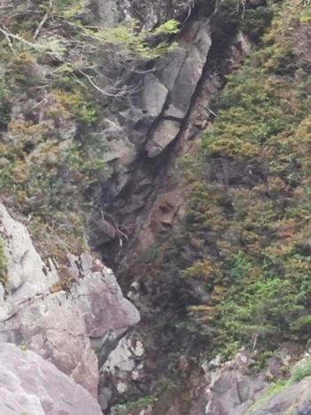 Man's 2-Year Quest Leads Him to Face in Cliffside
