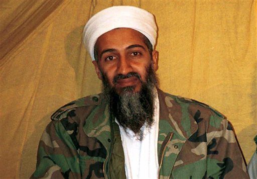 Report: bin Laden's Relatives Die in Jet Crash