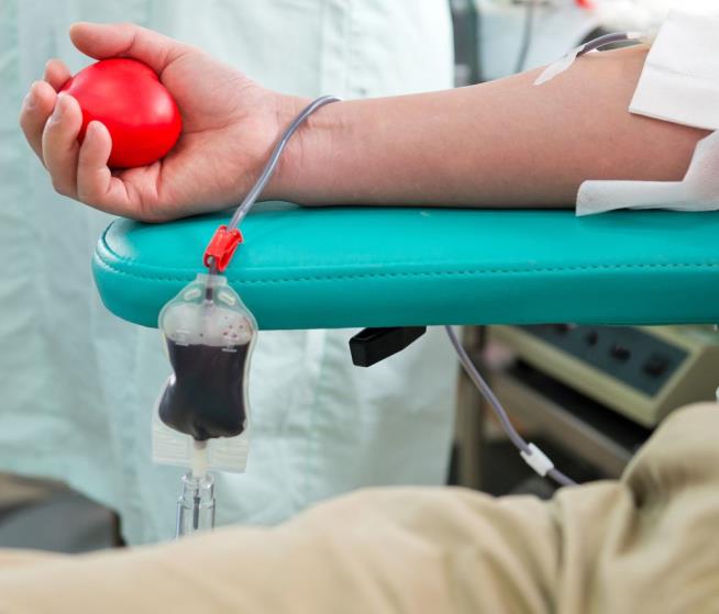 Judge to Offenders: Donate Blood or Go to Jail