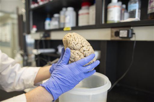 Scientists: We May Be Able to Alter Human Intelligence