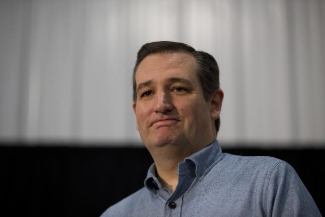 The Ted Cruz Birther Debate Is 'Pitch Perfect'