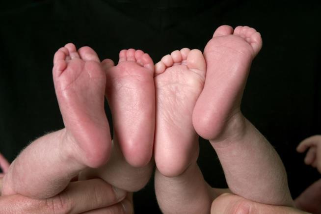 2-Year-Old Twins Found to Have Different Dads