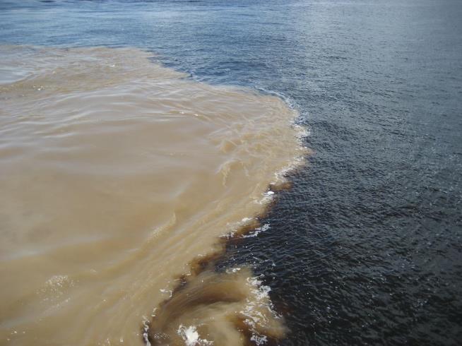 The Amazon's Muddy Waters Have Been Hiding a Massive Reef