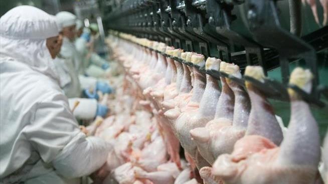 US Poultry Workers Wear Diapers: Report