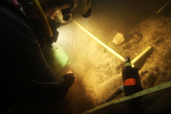 Florida Divers Bring Up Signs of People 14K Years Ago