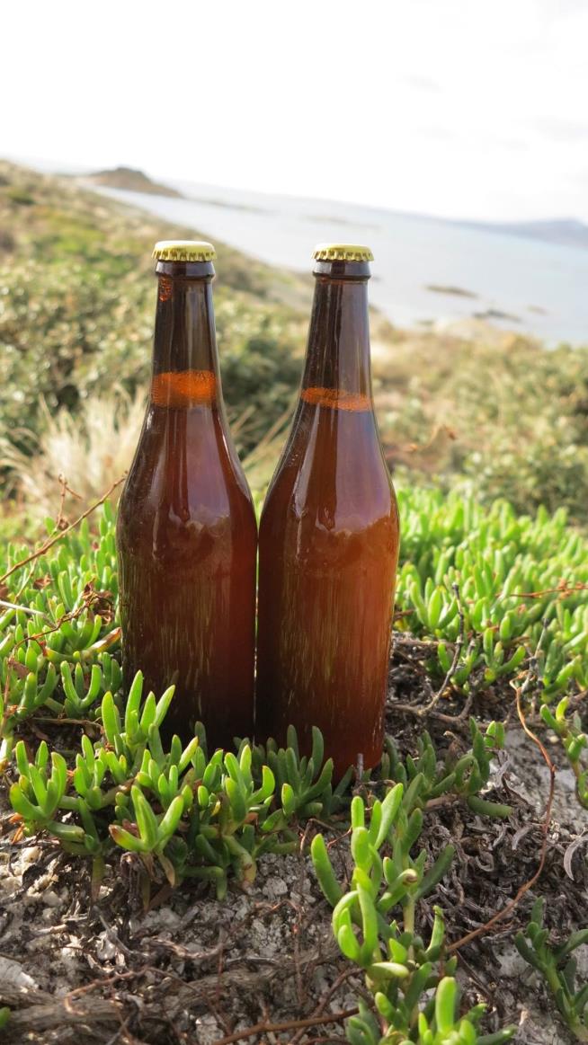 This Might Be the World's Oldest Beer