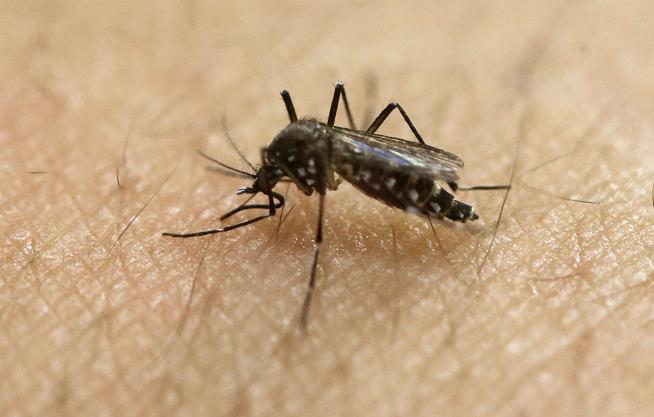 Travel Advisory Expected as Florida Hit by 10 New Zika Cases