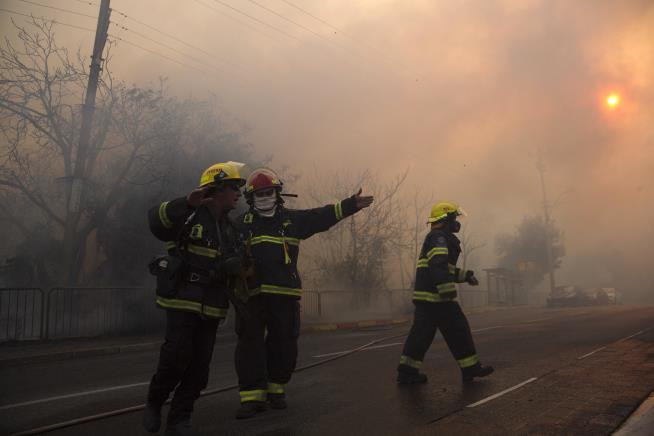 Israel Blames 'Terror' for Massive Wildfire