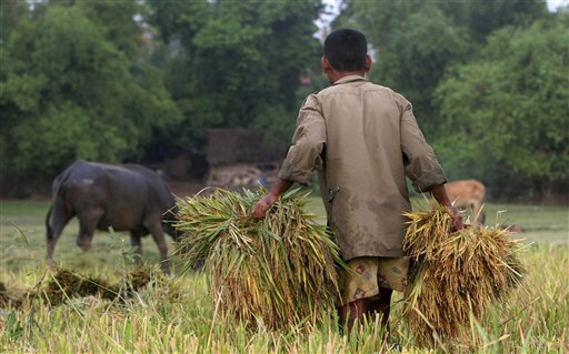 UN Chief Urges 50% Boost in Food Production