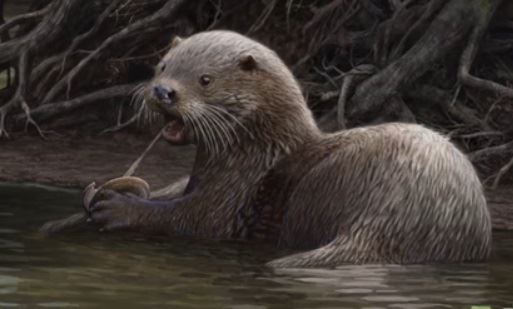 A Mighty Otter: 5 Most Incredible Discoveries of the Week