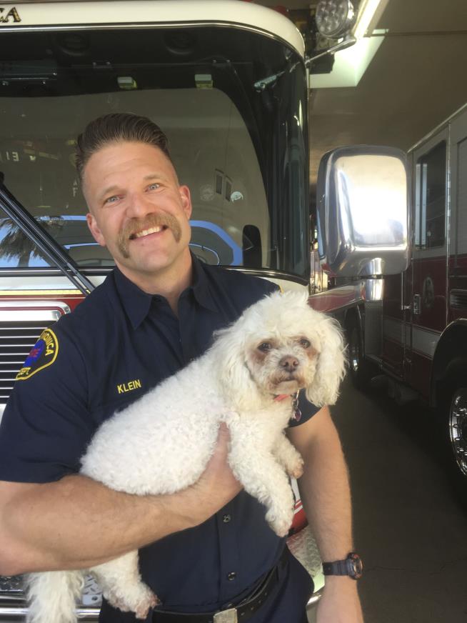 Dog Saved From Fire Revived After 20 Minutes