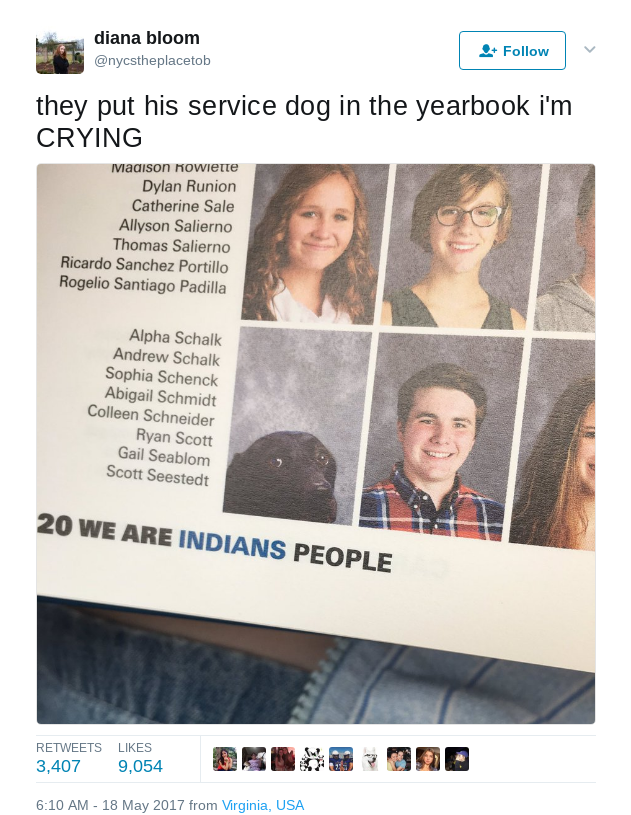 Student's Service Dog Gets Own Headshot in Yearbook