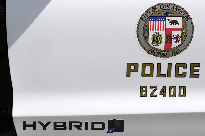 LAPD: Teen Cadets Stole Cruisers, Stun Guns, More