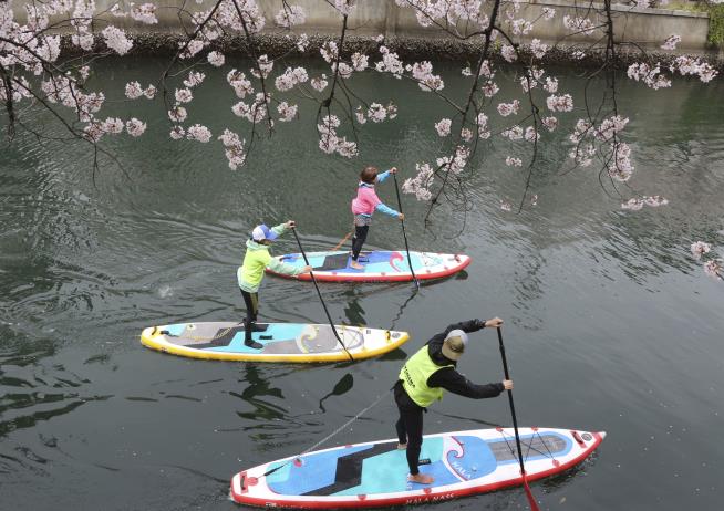 Court to Decide if Stand-Up Paddleboarding Is Surfing or Canoeing