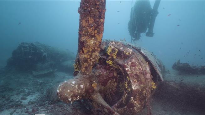 Divers Retrieve Possible Remains from WWII Bomber
