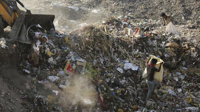 The Plastic We've Made Weighs as Much as 1B Elephants