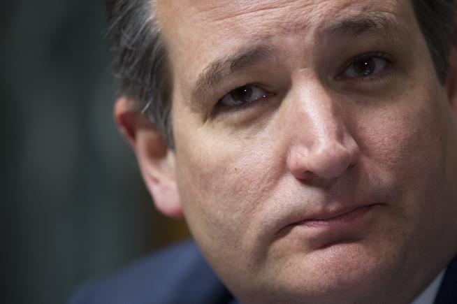 Ted Cruz 'Likes' Porn Clip on Twitter