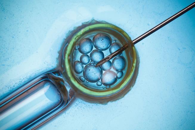 Couples Sue Fertility Clinic Over Eggs With Genetic Defect