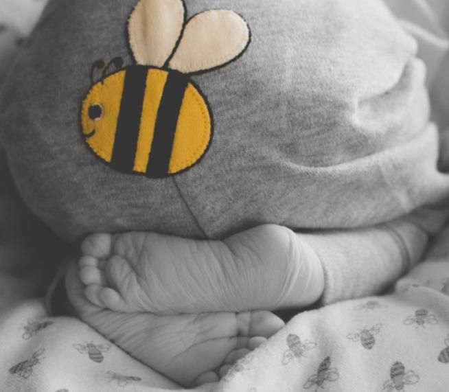 Mom Who Took Maternity Pics With Bees Shares Heartbreak