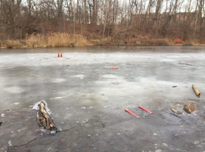 11-Year-Old Dies Rescuing Friend From Frozen Pond