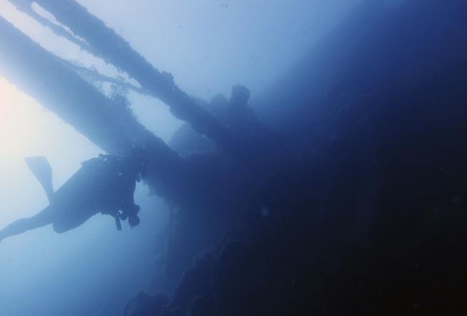 Dig Reveals Bones Likely From Missing WWII Ships