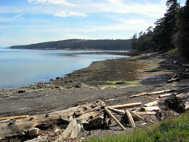 14th Severed Foot Washes Up in Canada