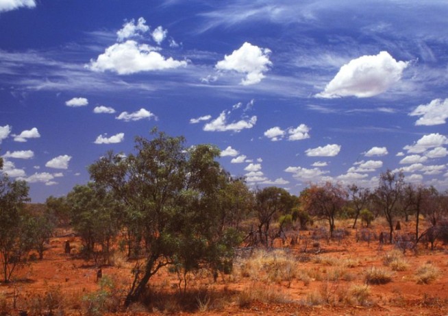 The landscape near the remote Northern Territory area where the bodies were found