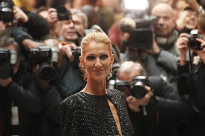Celine Dion Has a Message for Body Shamers