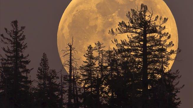 Look out for the Super Worm Moon Look out for the Super Worm Moon