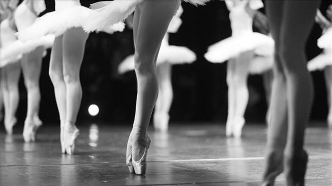 The Ballet School Was Missing $1.5M. The Story Gets Stranger