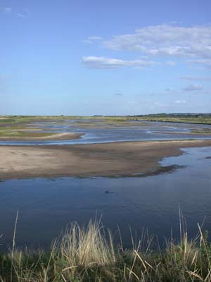 Rising Seas to Swallow Reserve