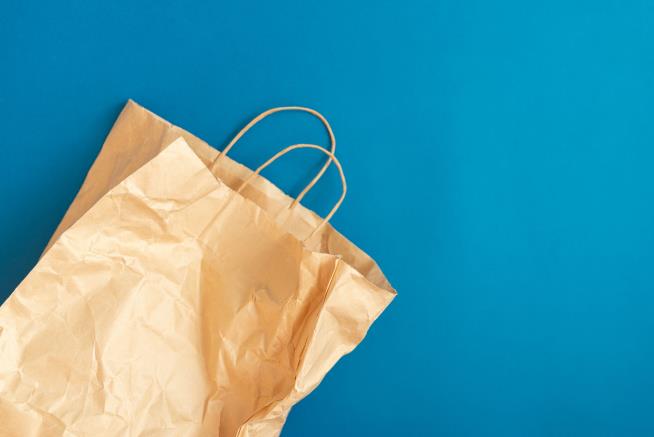 Plastic Bag Ban Is Just the Start for One State