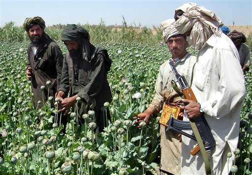 UN Crackdown on Heroin Is Bleeding Taliban Dry
