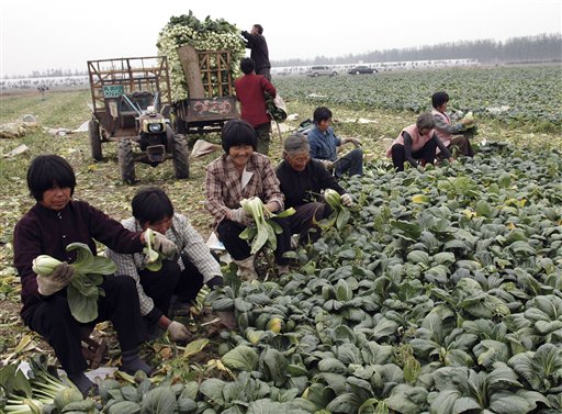 Beijing May Let Farmers Sell Land Rights