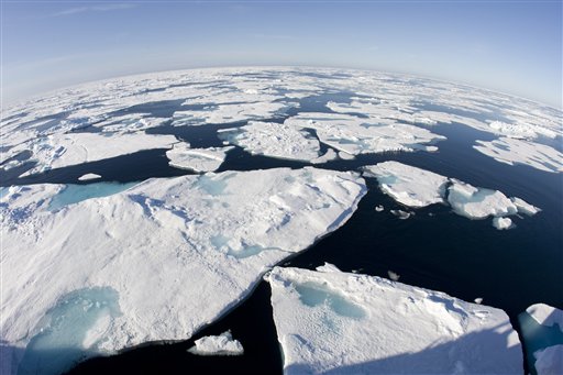 Warmest Year Ever Threatens Arctic Wildlife