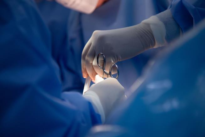 Dinner Plate-Sized Surgical Device Left in Woman's Belly