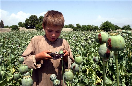 Afghans Hard-Pressed to Hold Gains in War on Opium