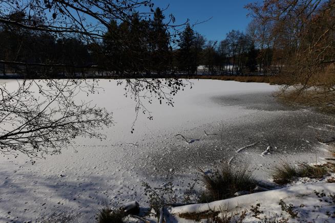 Dad Dies Saving Son, 4, After Both Fall Into Frozen Pond