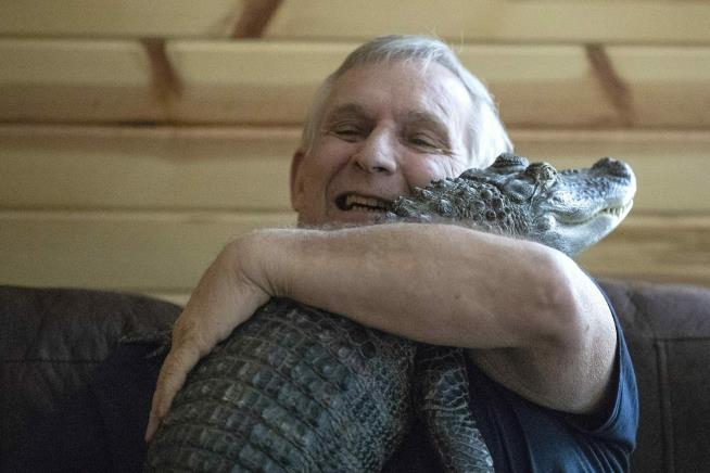 Man Loses Emotional Support Gator: 'Bring My Baby Back'