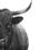 8 Bulls Escape Massachusetts Rodeo