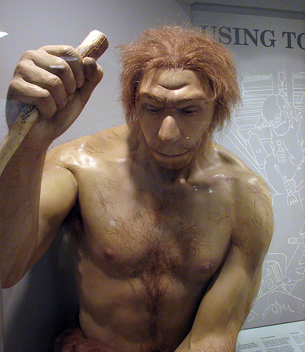Scientists Decode Neanderthal Genome