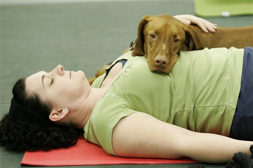 Om My! Dogs Take to Yoga