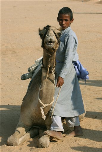 Mystery Illness Kills Camels