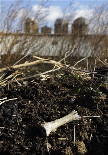 Green Burial Method Turns You Into Soil— Via Liquid Nitrogen