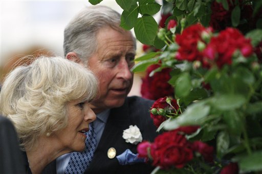 Charles, Camilla Cut Personal Spending by $1M