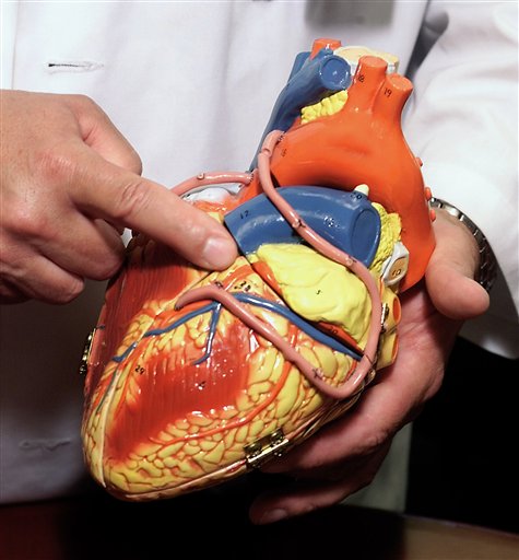 Scientists Find 'Master' Cells For Human Heart